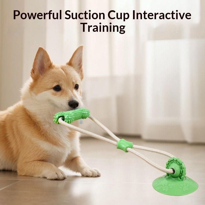 Suction-cup Pull-rope Teething Toy For Interactive Pet Play