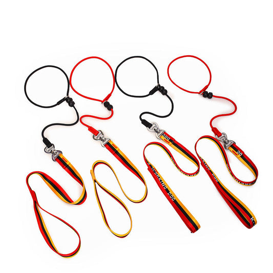 Minimalist Pet Leash Easy-to-Extend Design For Medium And Large Dogs