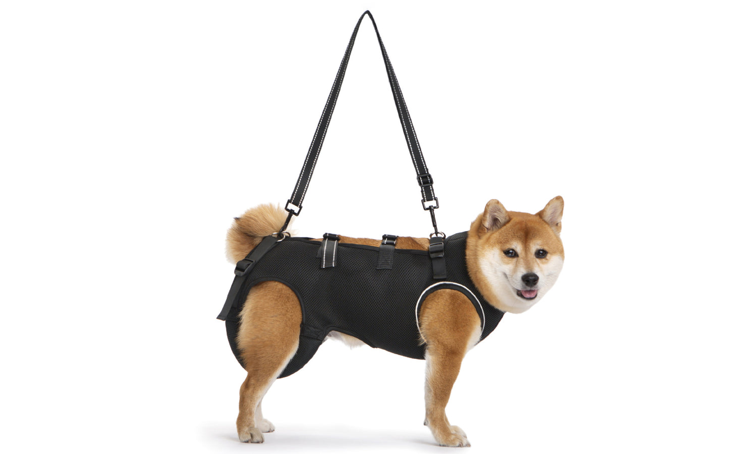 Pet-assisted Clothing For Senior Dogs