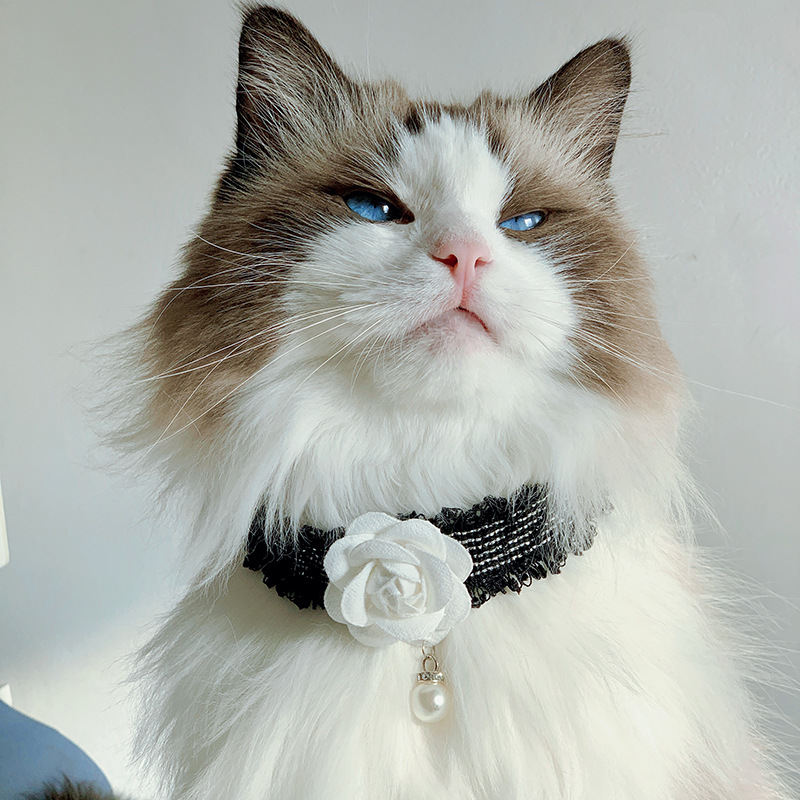 New Pet Cat And Dog Magnolia Flower Small Fragrance Collar Accessory