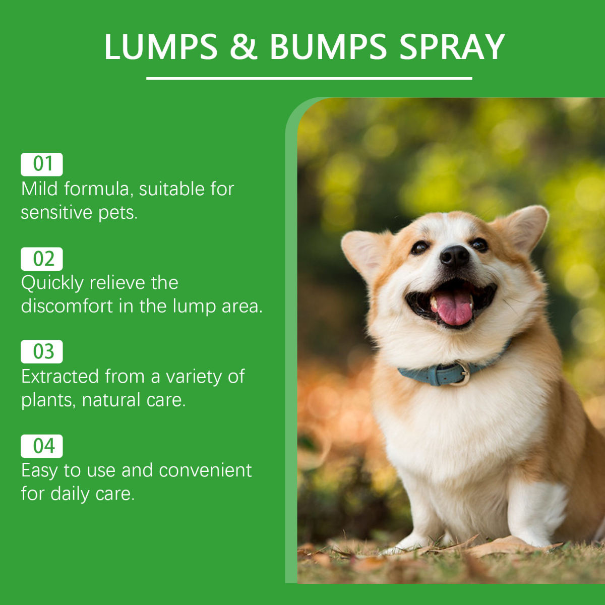 Cat And Dog Relieve Skin Discomfort Care Pet Care Spray