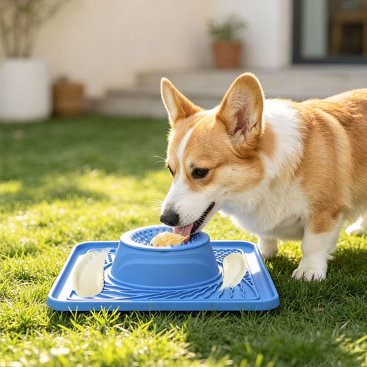 Household Silicone Slow-feeding Dog Bowl