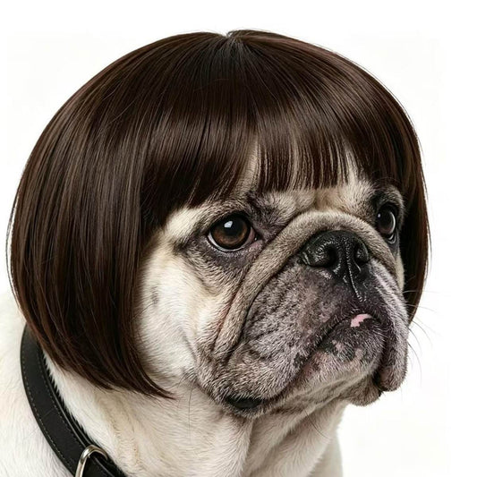 1 Pack Funny Cat And Dog Wigs, Soft Pet Cosplay Costume With Adjustable Straps, For Halloween Christmas Party Dress-Up, Ideal Gift For Pet Lovers