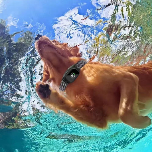 Smart Color-screen Anti-bark Device Rechargeable And Waterproof Dog Training Tool