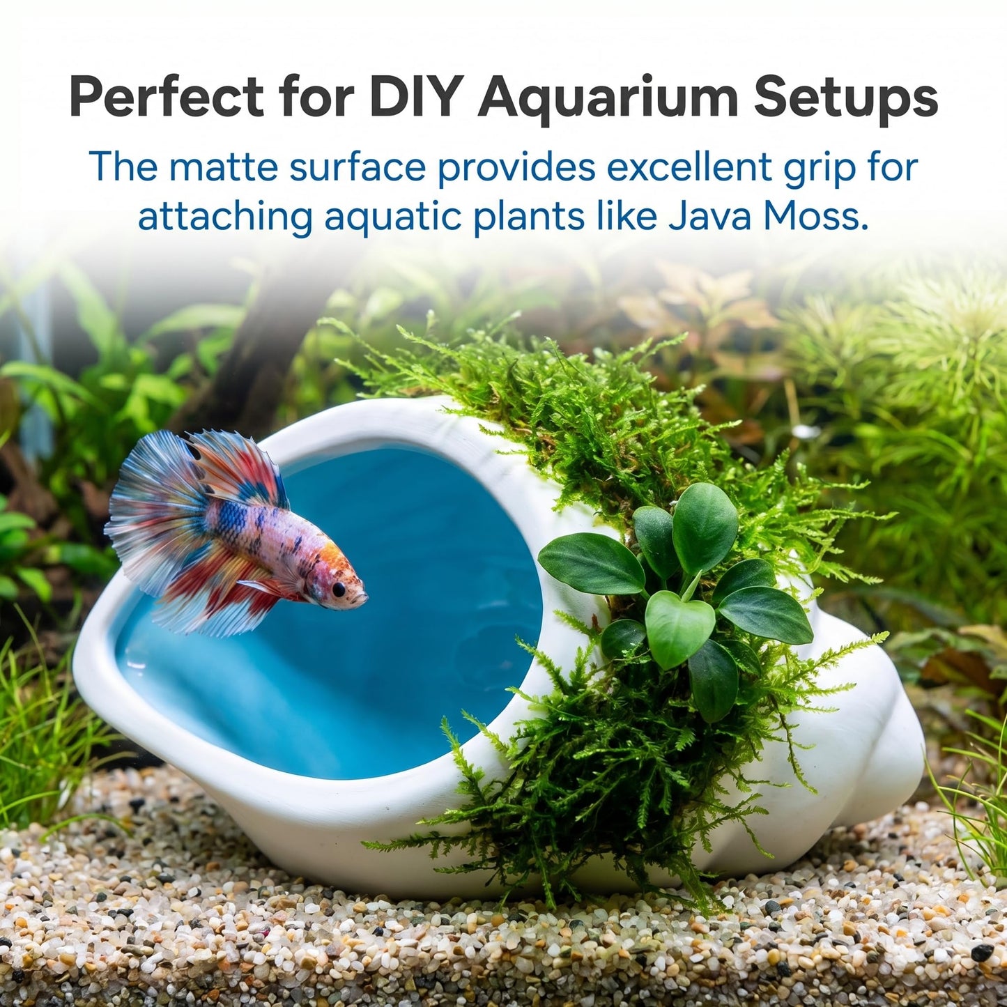 Ceramic Aquarium Cave For Betta Fish Tank Decor, White Conch Shell Hideout, Smooth Glaze Fish Tank Accessories & Decorations For Betta Fish, Shrimp, Pleco