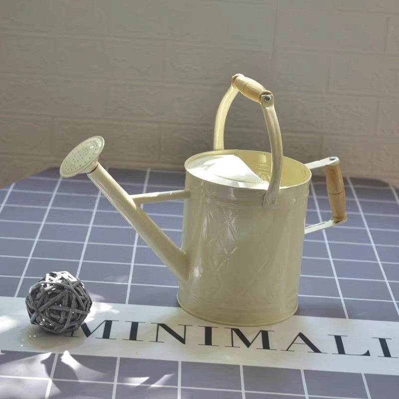 Large Watering Can For Home Gardening Vegetable Growing And Flower Care European And American Style