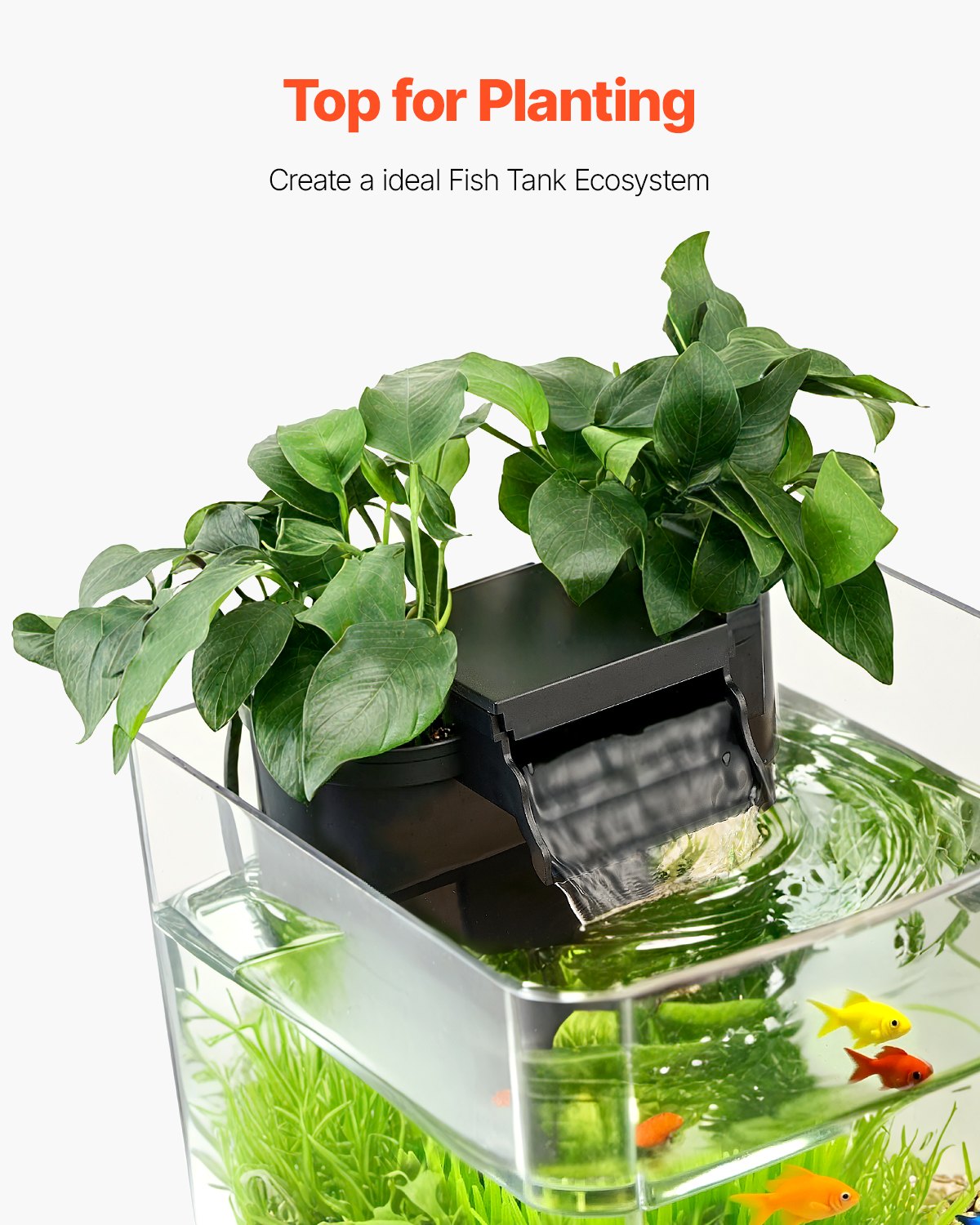 2 Gallon Fish Tank Aquarium Smart Arch Clear GPPS 3 Color Self Cleaning