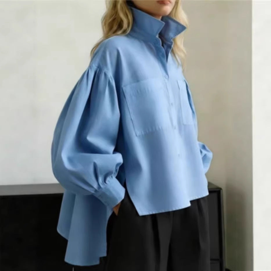 Button-down Long-sleeve Minimalist Office-style Womens Blouse