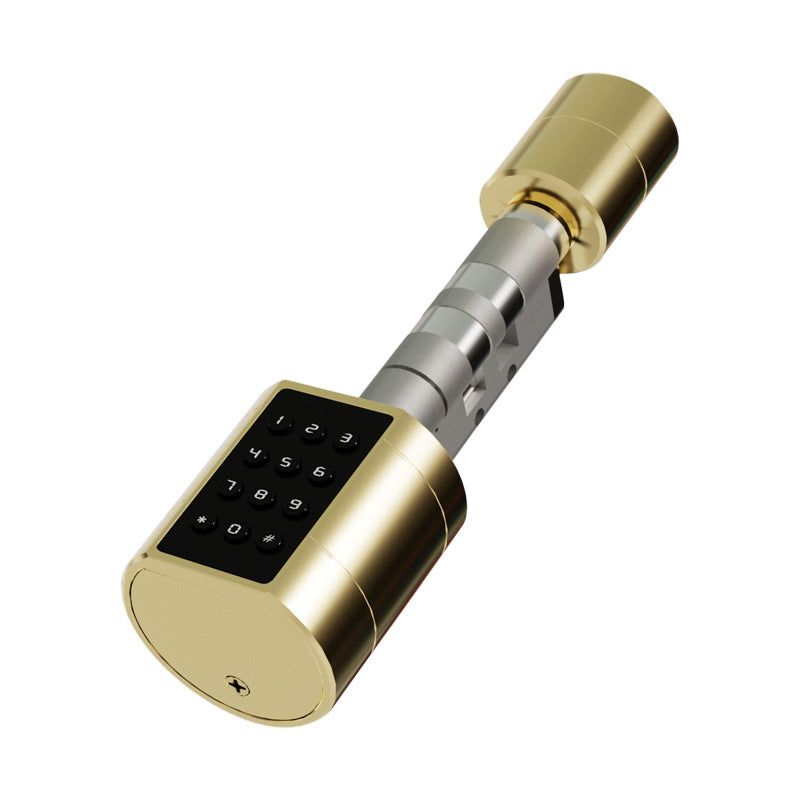 Smart Lock Cylinder Graffiti-proof Bluetooth Fingerprint Password Lock For Indoor Use