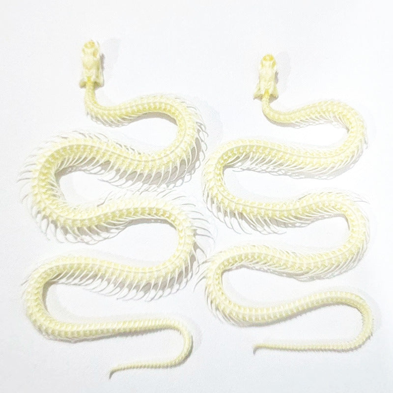 Retro Collectible Art Snake Full-Body Skeleton Specimen Ornament