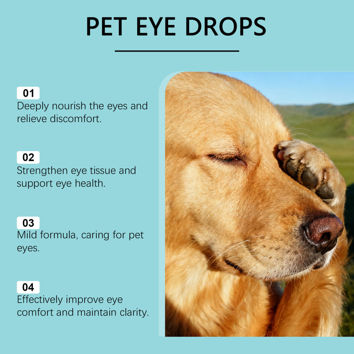 Pet Safe Gentle Daily Eye Cleanser And Deep Acting  Drops