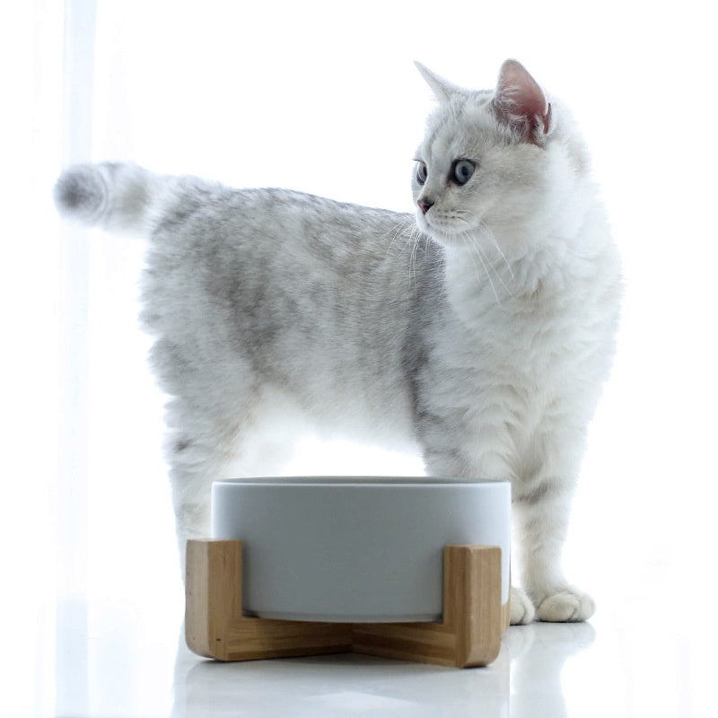 Solid Color Minimalist Home Use Ceramic Cat Food Feed Bowl