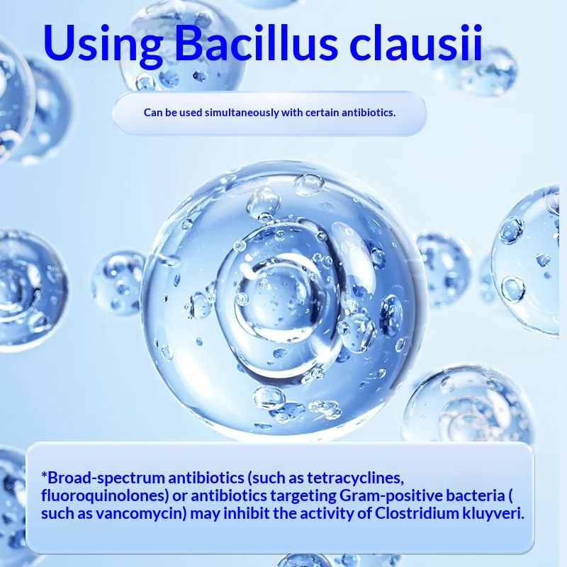 Cross-border In-stock English Pet Probiotic Granules For Dogs