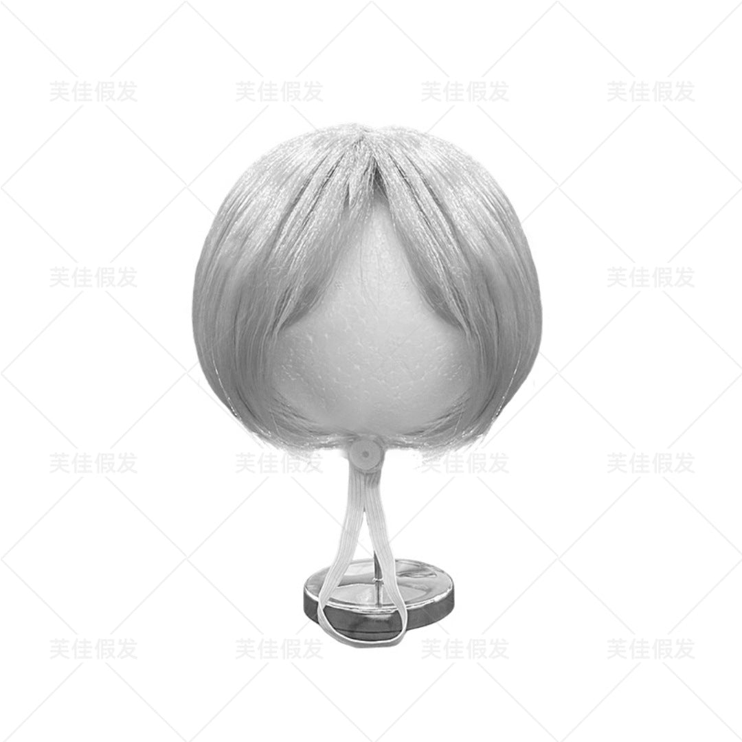 Halloween Pet Wig For Curly Or Straight Hair