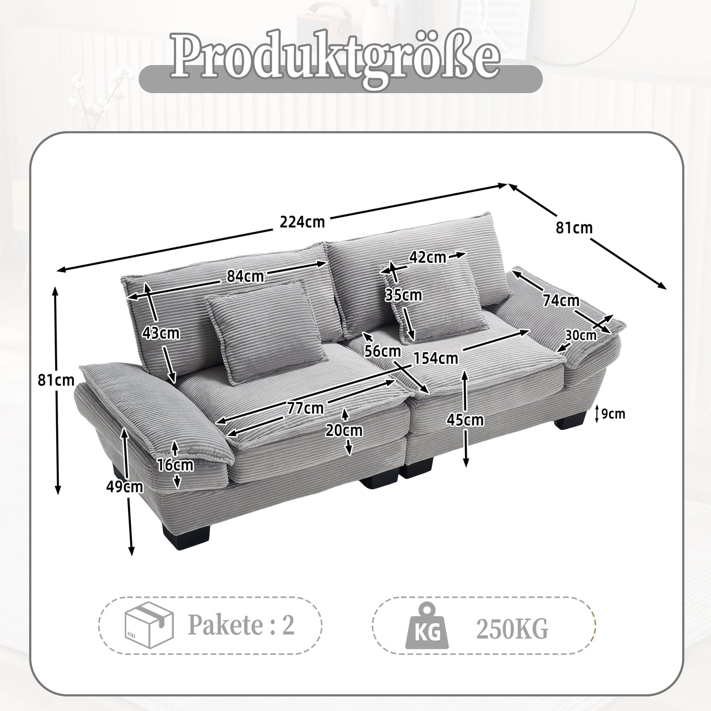 A Modern, Simple Double Sofa With A Feather Bed, Which Reaches A Pillow, Is Cosy, But Spacious And Spacious In The Living Room Bedroom Office, Light Grey