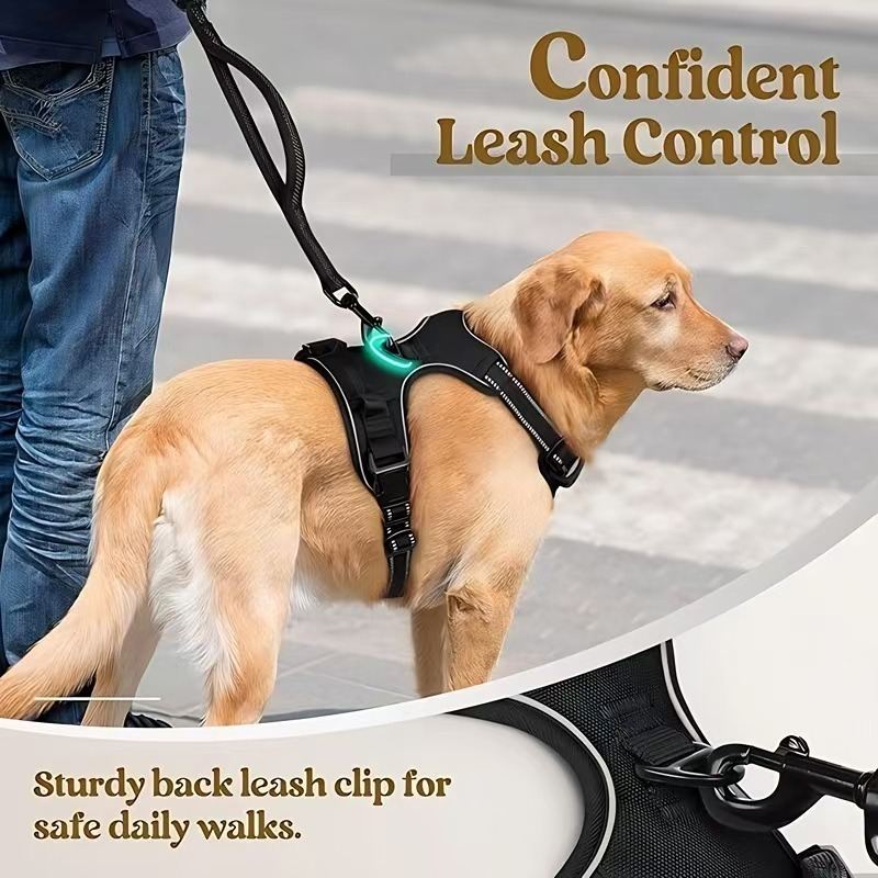 Multi-layer All-in-one Pet Dog Harness and Leash Set - Durable Nylon Walking Rope for Small Medium Large Dogs Outdoor Training