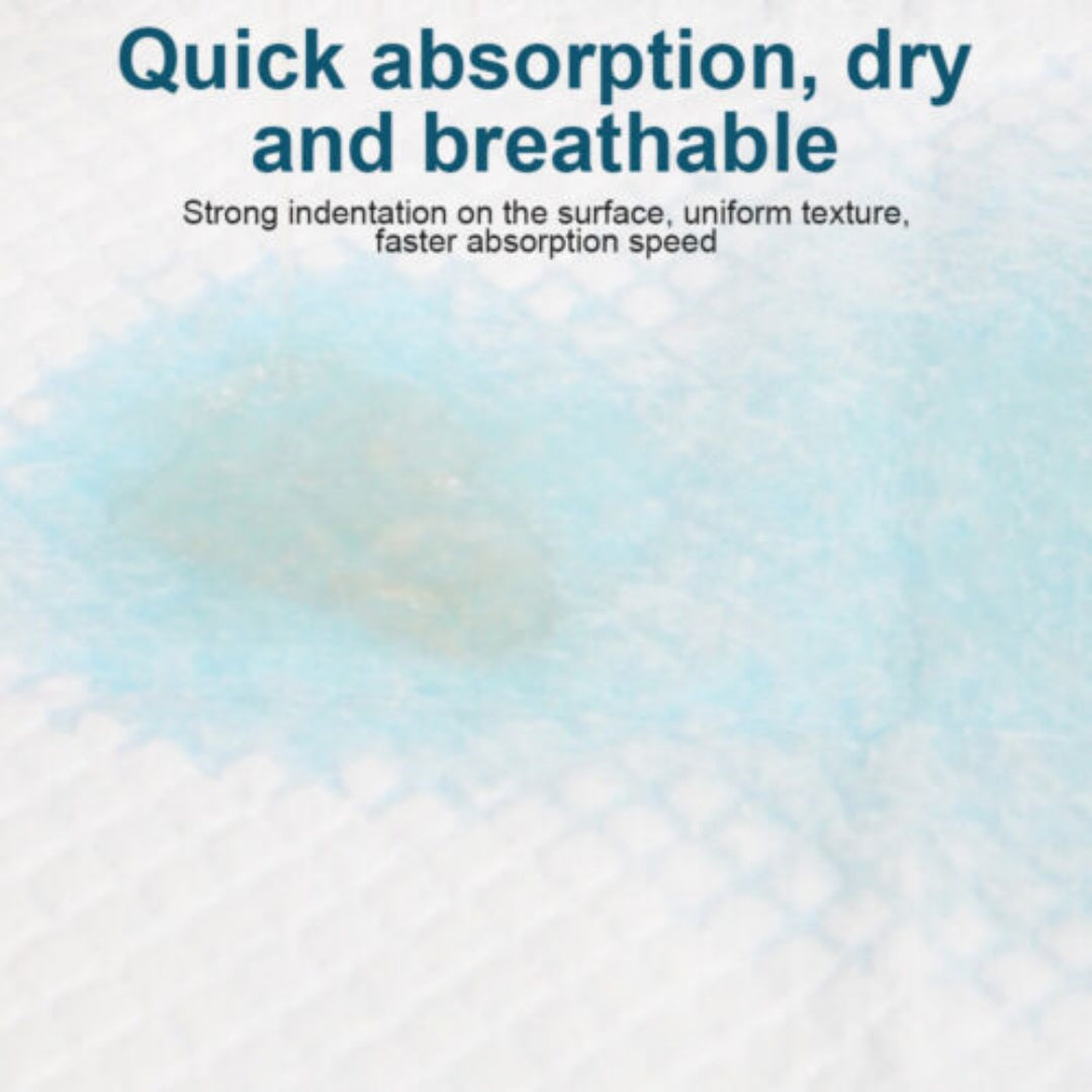 Pet Training Pads Puppy Toilet Potty Mat Indoor Dog Cat Pad 60X60cm Absorbent Blue-50pcs