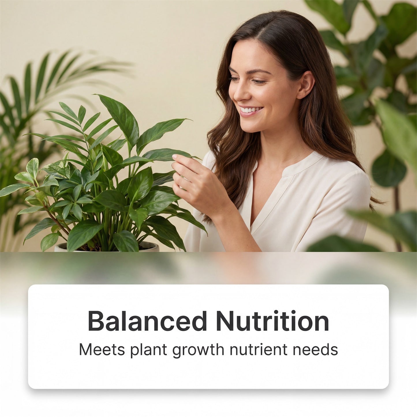 Indoor Plant Food