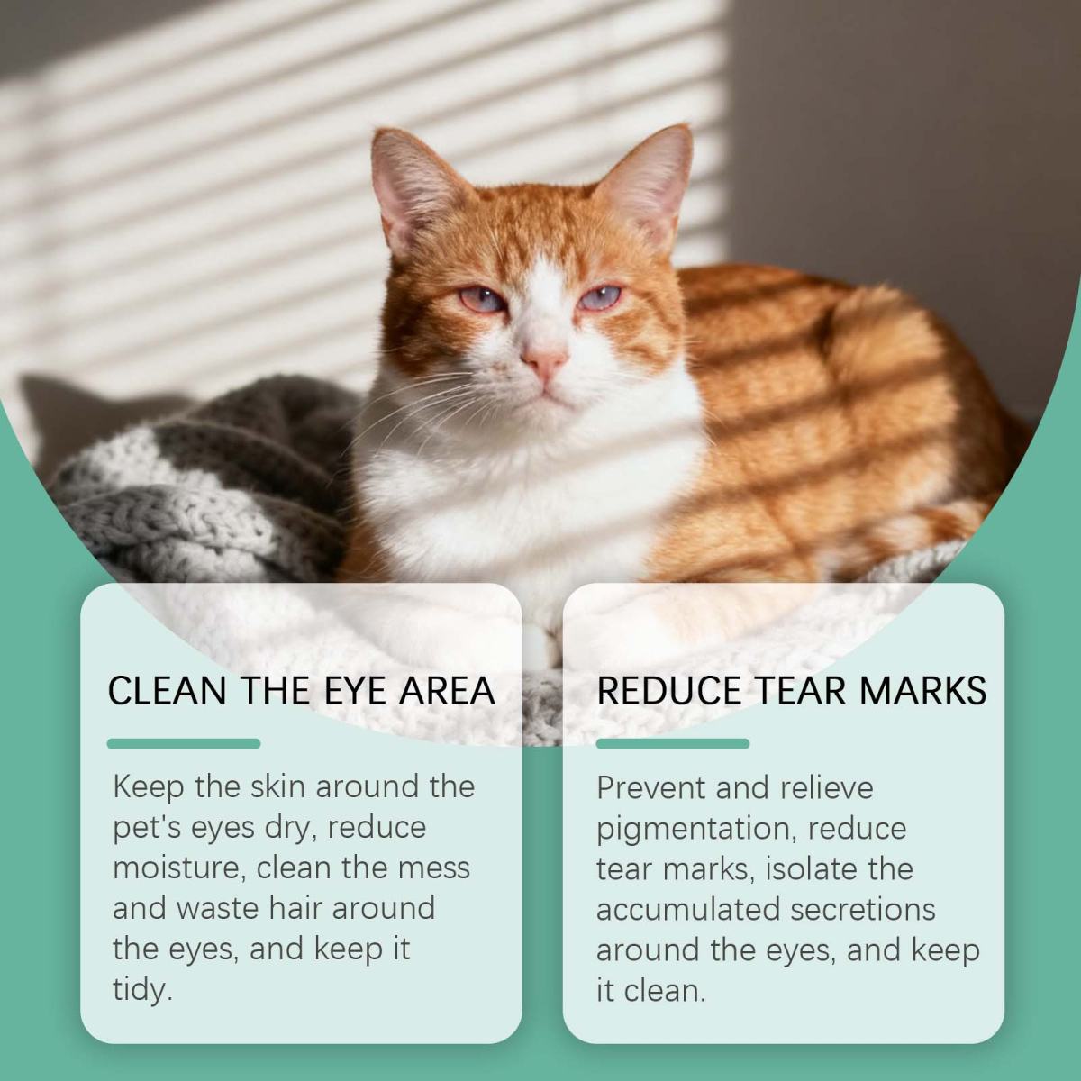 Pet Eye Cleaning Stick Gentle Refreshing And Comfortable
