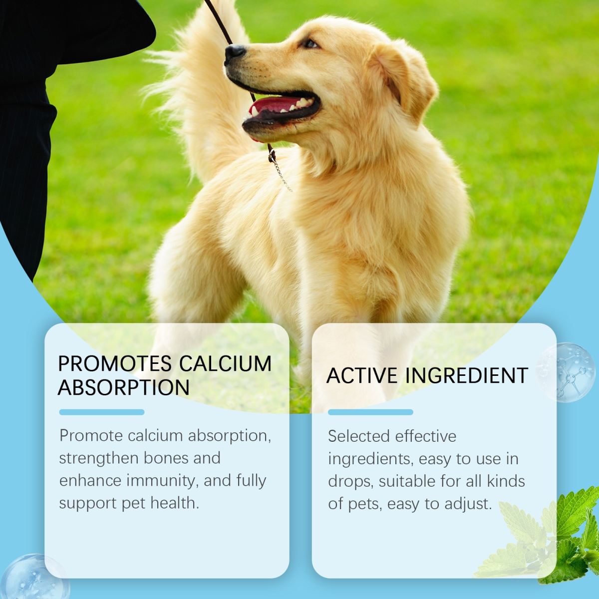Pet Vitamin Supplement Dropsboost Immunity Enhance Vitality And Support A Healthy Diet