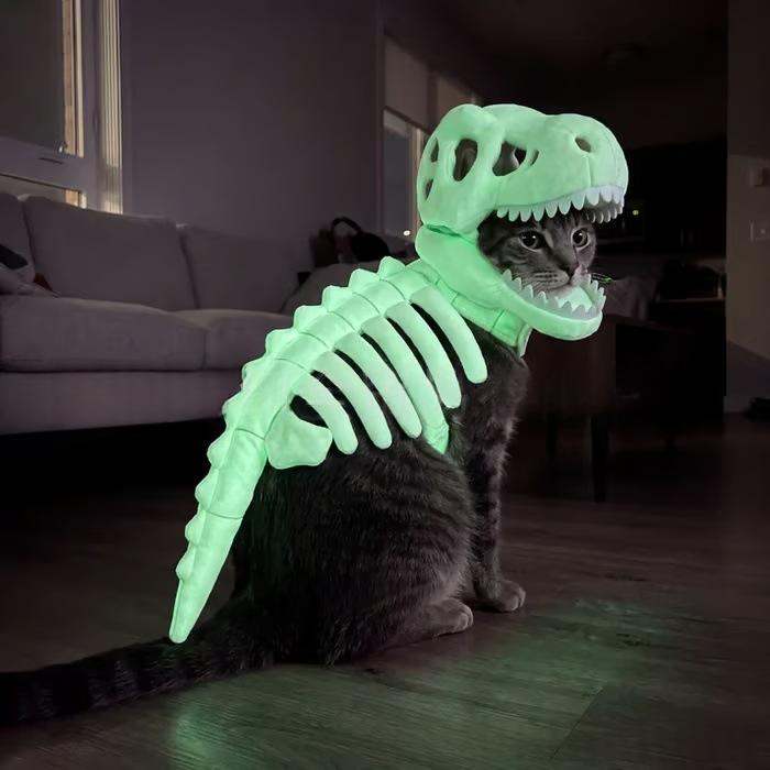 Dark Dinosaur Skeleton Pet Costume