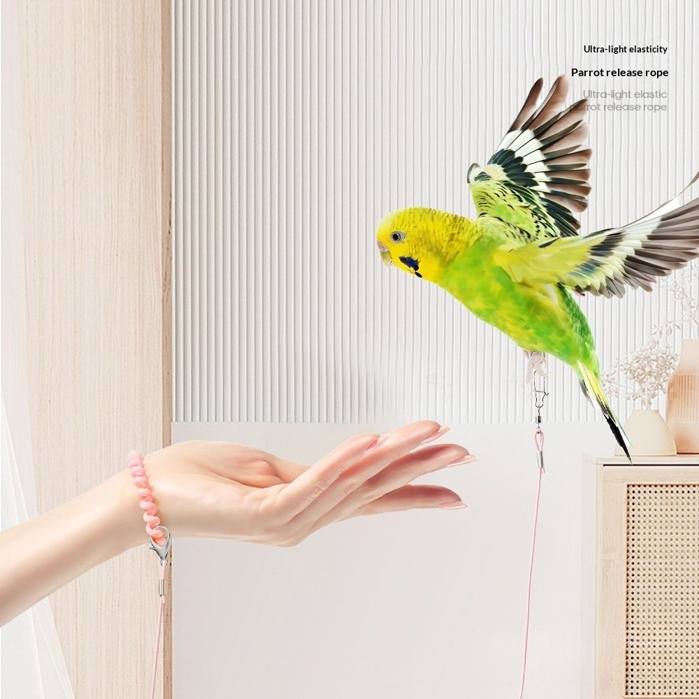 Qingsong Pet Parrot Ultra Lightweight Release Leash With Adjustable Buckle Bird-Walking Essential