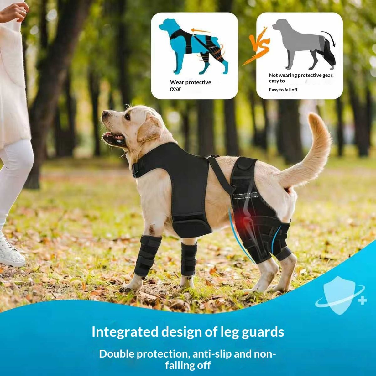 Pet Dog Gear Rear Back And Hind Leg Dual Protector Protective Cover