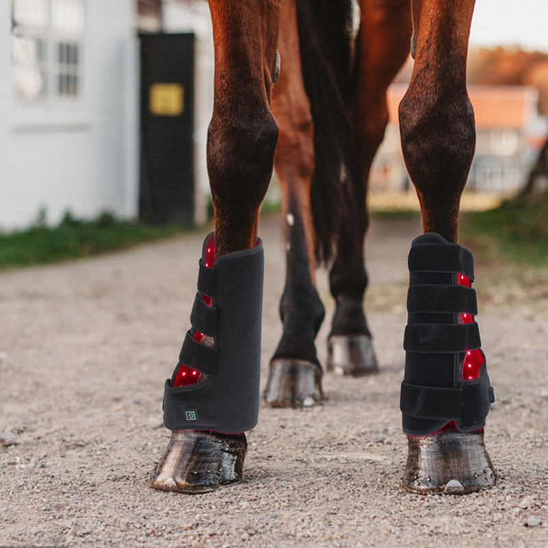 Red Light Infrared Pet Sports Wound Recovery Horse Leg Portable Phototherapy