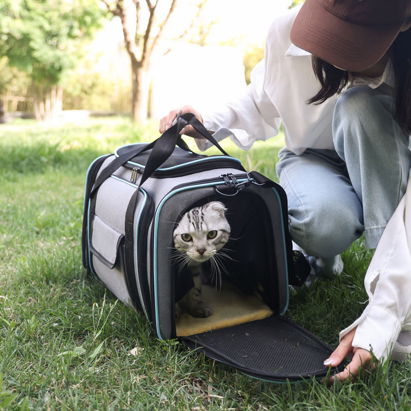 Portable Expandable Foldable Pet Carrier ToteSling Bag