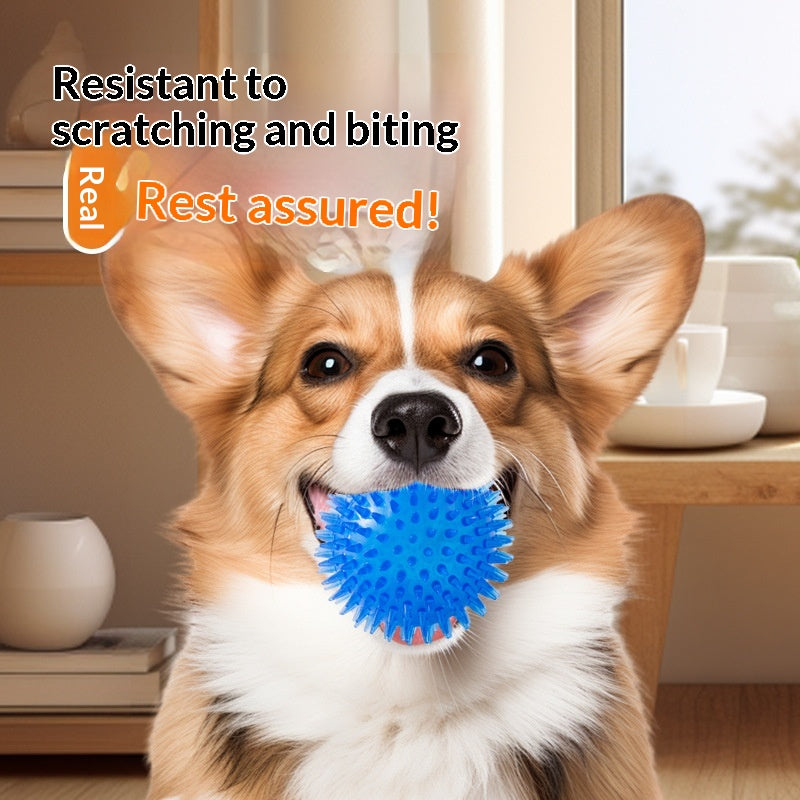 Cross-border Pet Dog Toy Ball