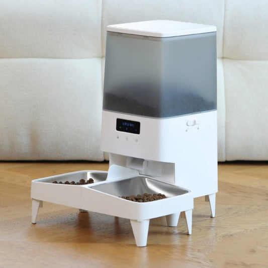 Intelligent Automatic Feeder For Cats With Timed Feeding