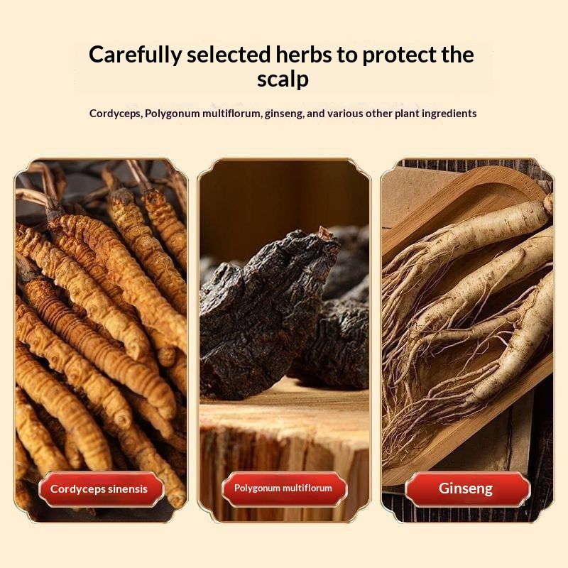 Cordyceps Repairing And Nourishing Shampoo To Improve Hair Condition