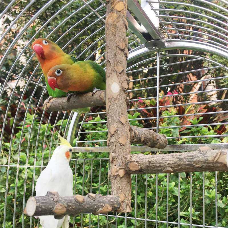 Parrot Toys Bite Swing Bell Stand
