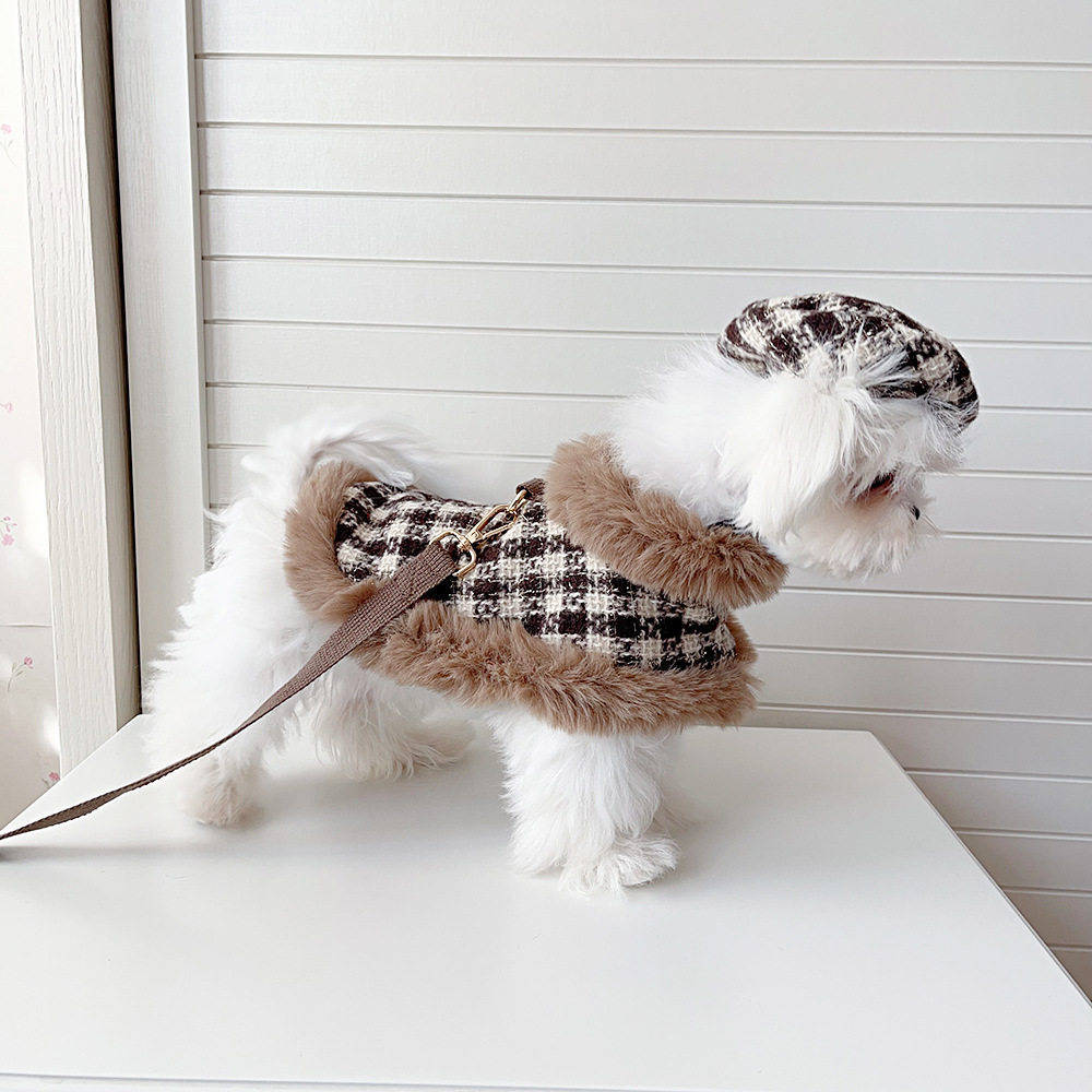 Pet Cape Leash Cat And Dog Clothing