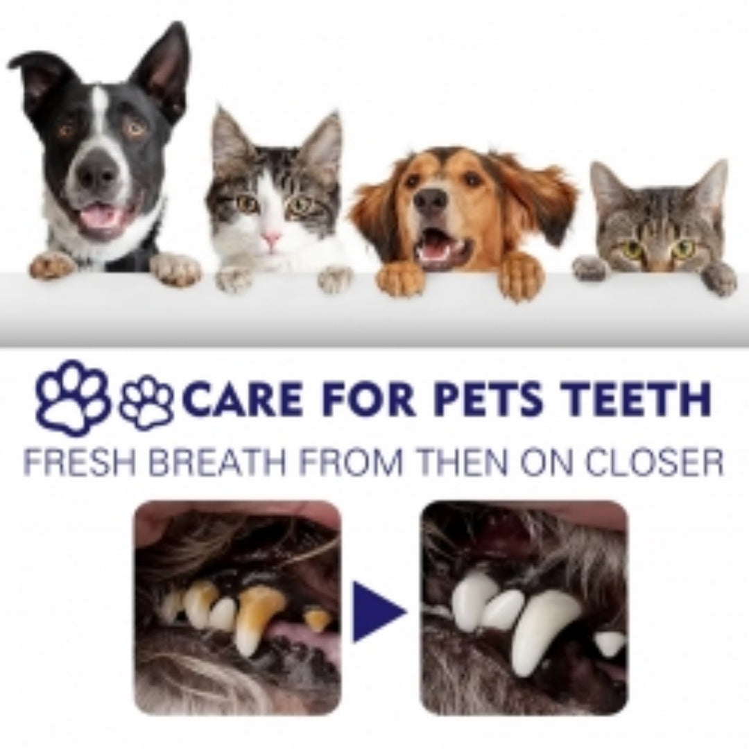 Yegbong Pet Mouth Cleaning Cream, Cats And Dogs Clean Bad Breath Tartar Stains White Teeth Cream
