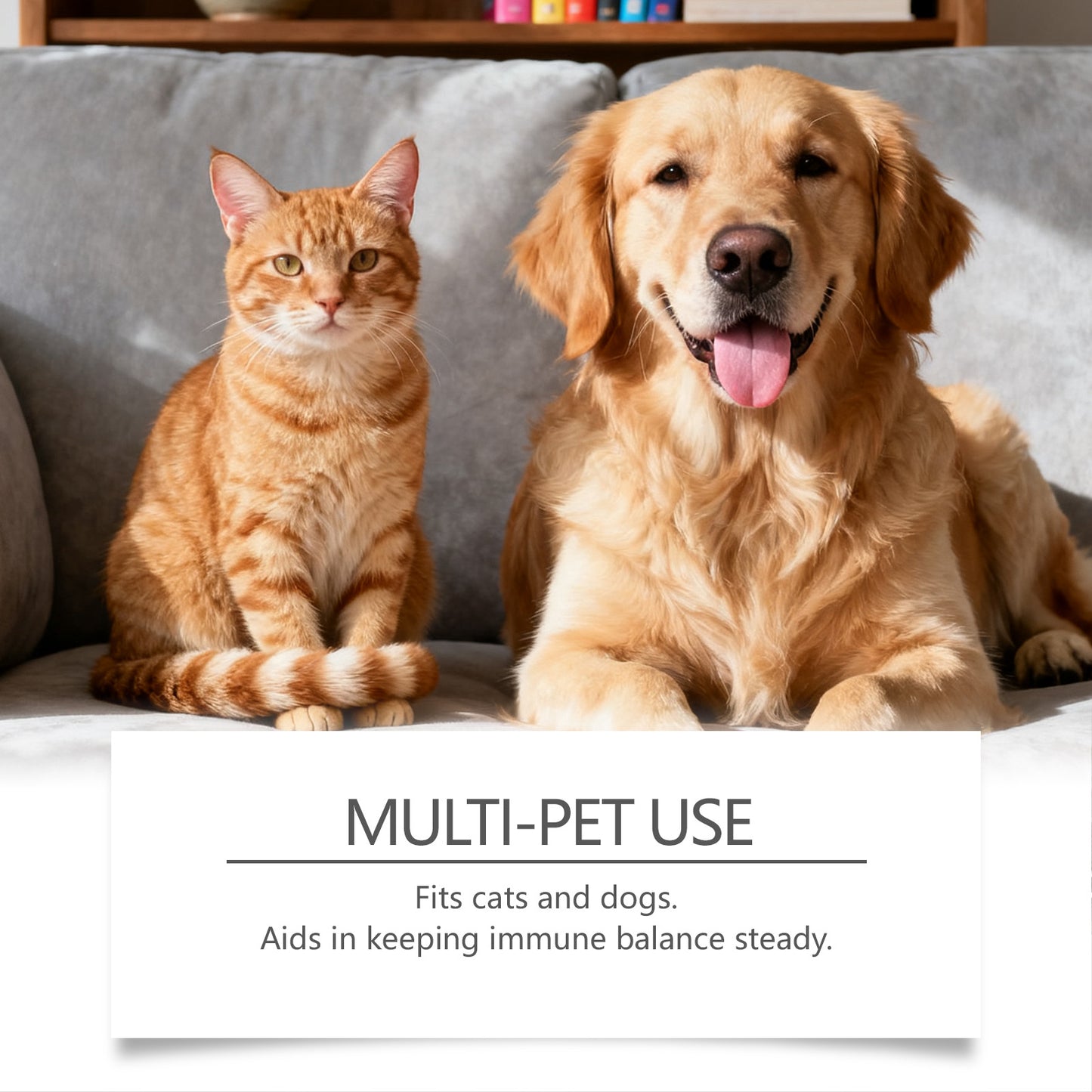 Cat And Dog Urinary Care Soothing Drops