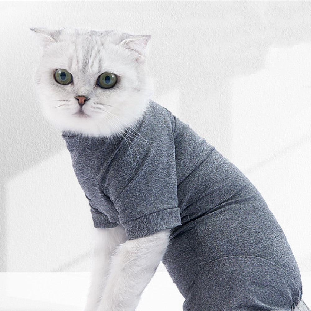 Cat Surgery Post Operative Recovery Four Legged Clothes