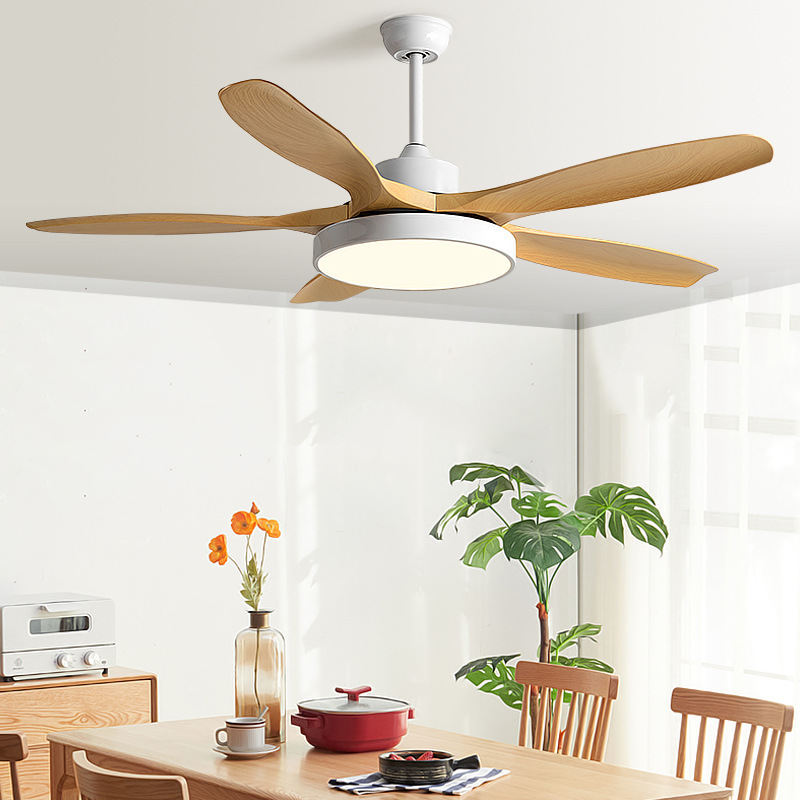Modern Minimalist Ceiling Fan With Light For Home Use