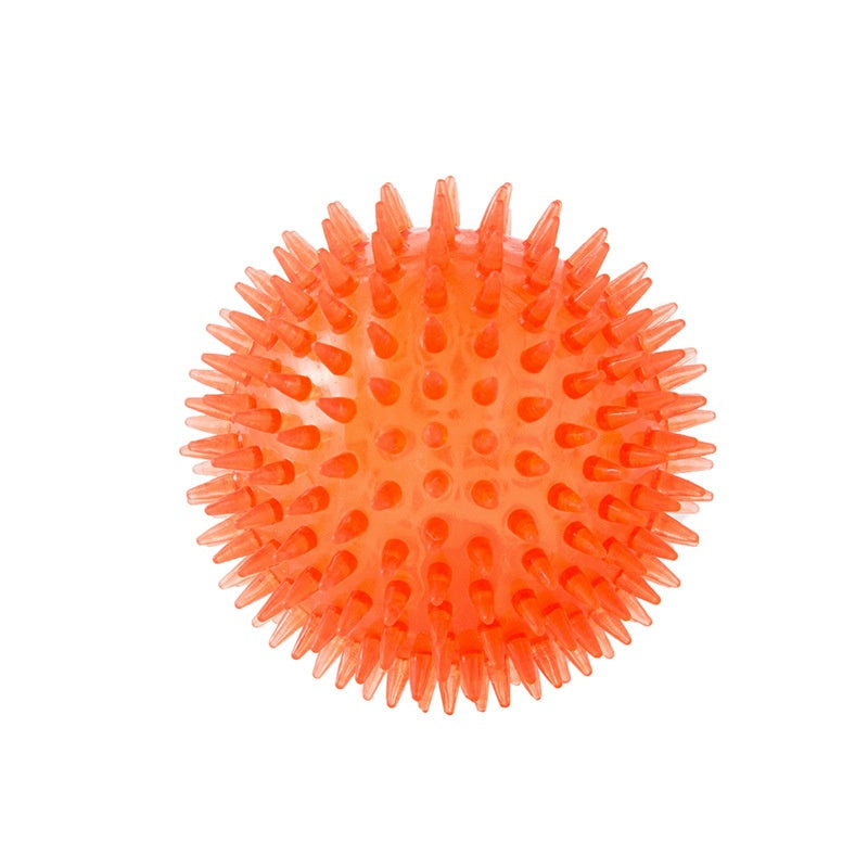 Cross-border Pet Dog Toy Ball