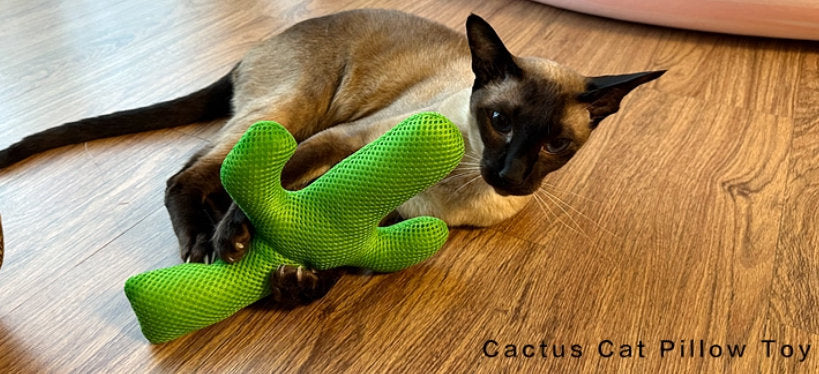 Cat Gnawing And Teething Plush Pet Toy