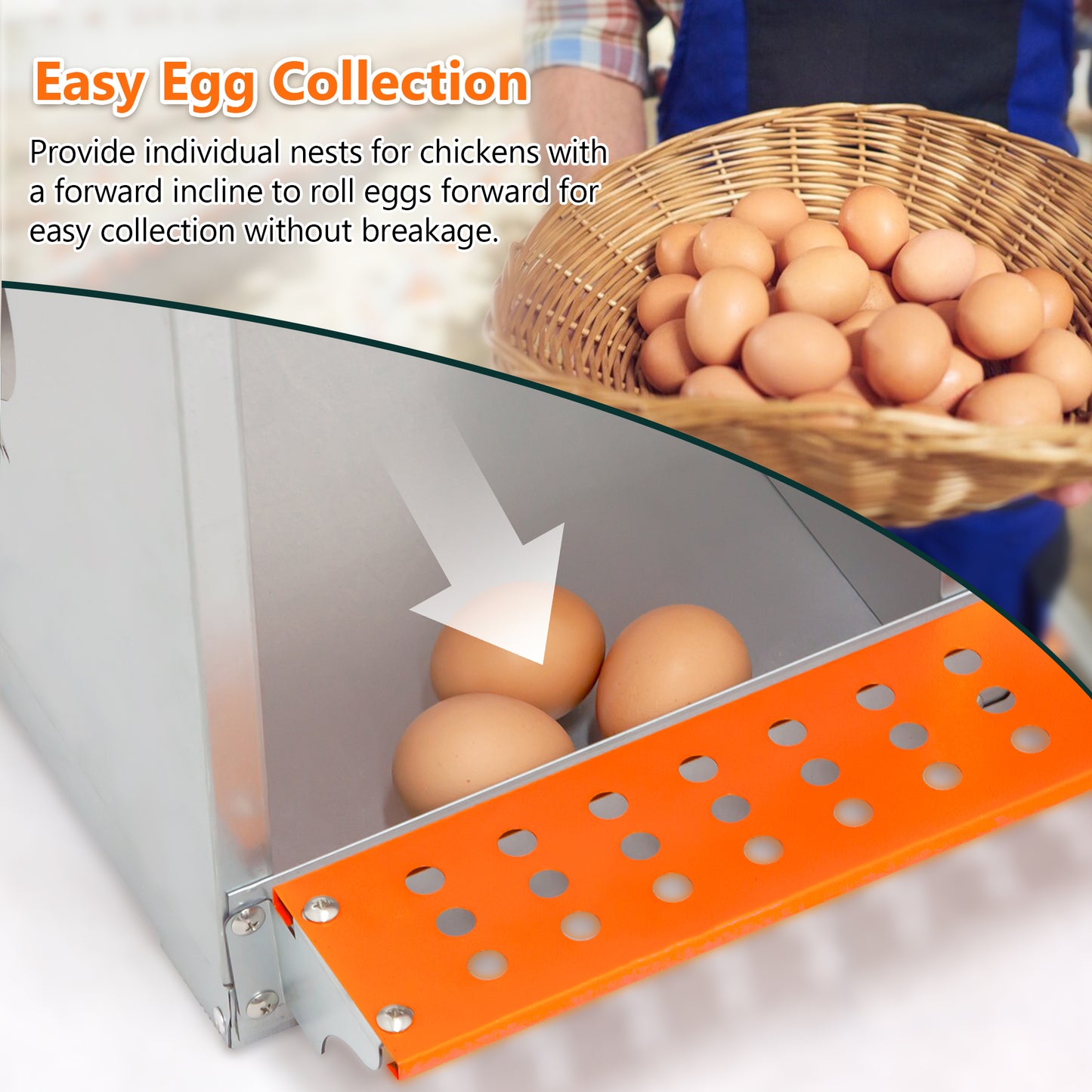 6-Bay Metal Nest Box-Wall Mount For Hens Ducks, Easy Egg  Assembly, Vented Galvanized Steel Coop Equipment Orange