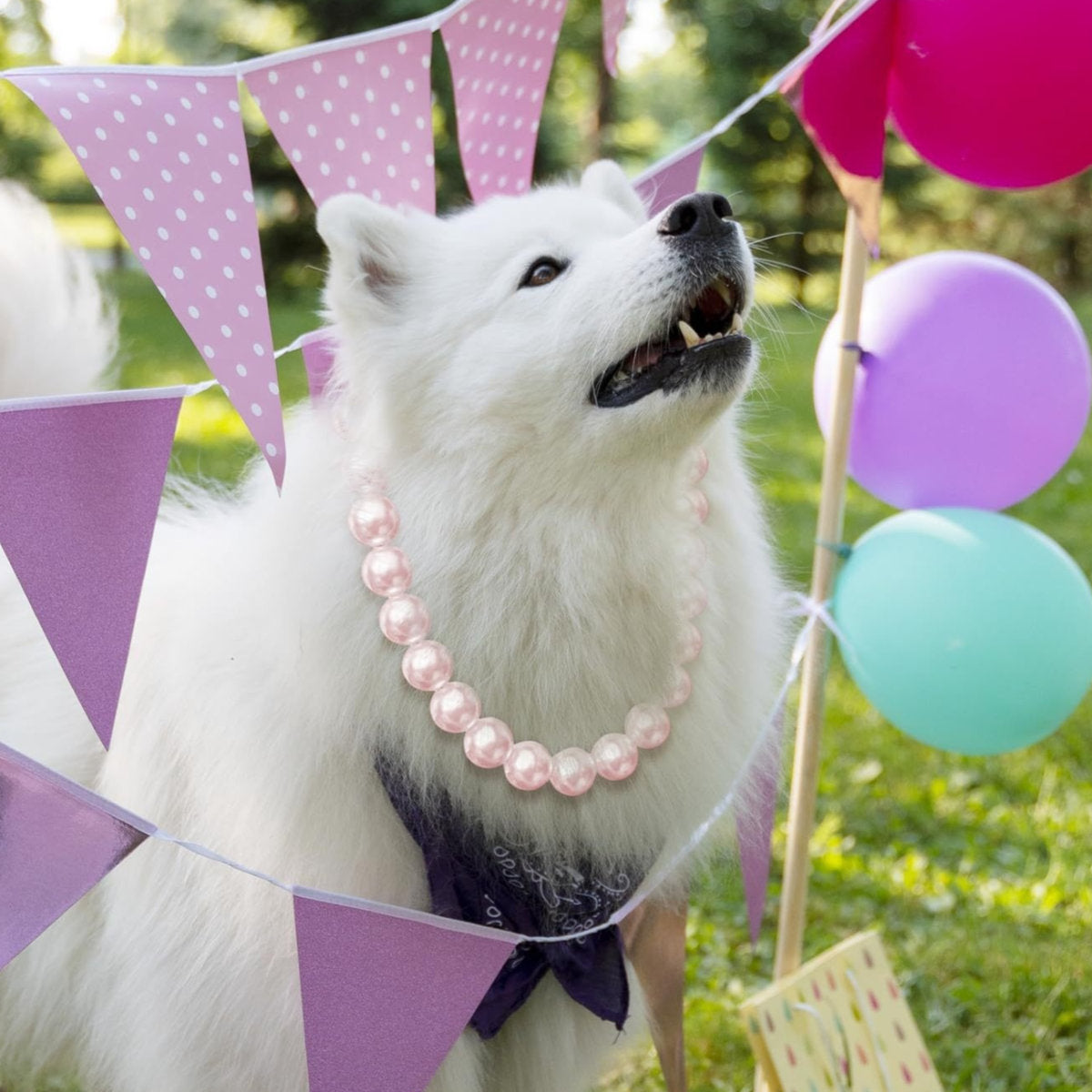 Pet Round Pearl Chain Dog Necklace