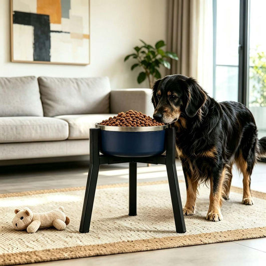 Adjustable Dog Bowl Pet Feeder Stand