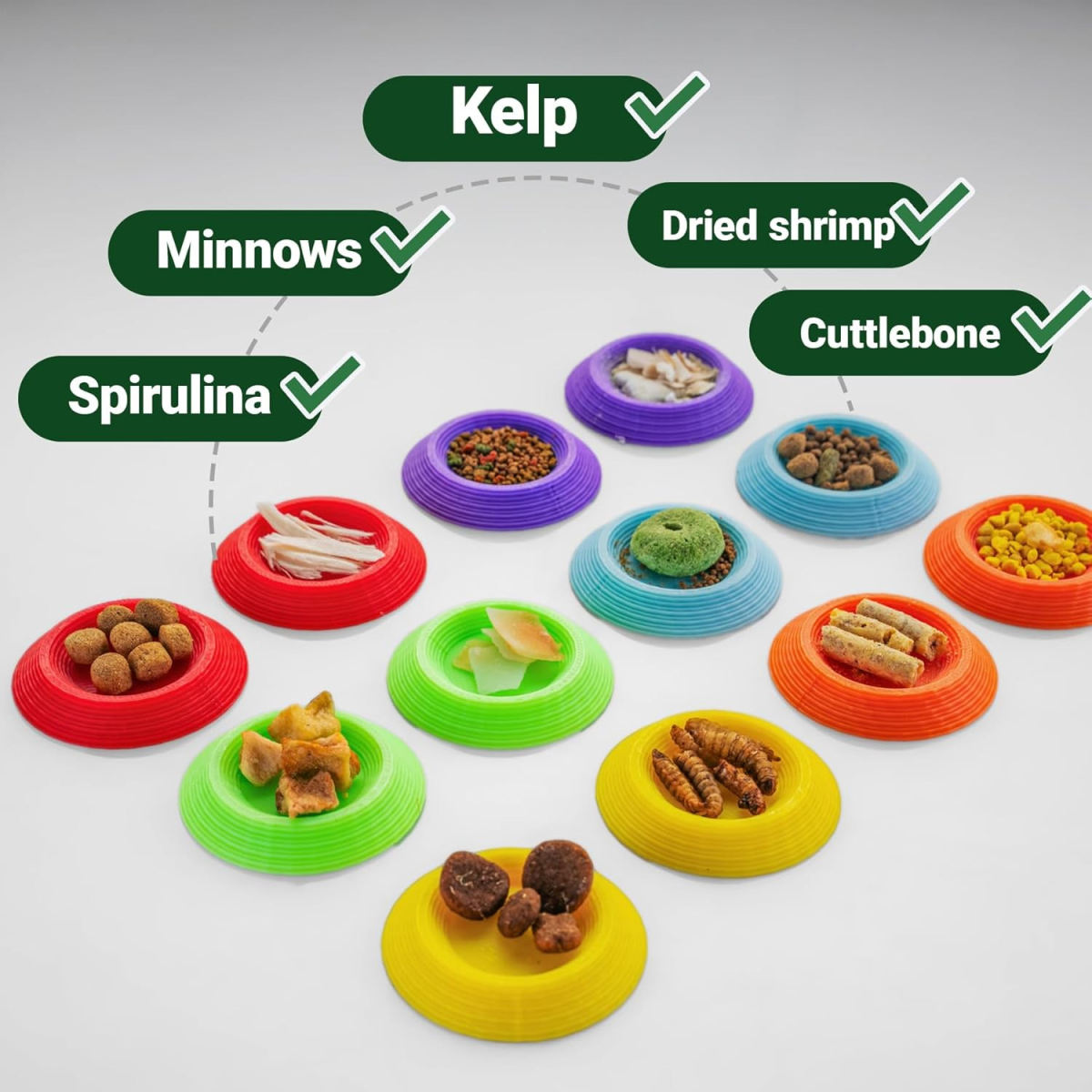 Mini Feeding Dishes For 12 Dubia Roach Food Bowls