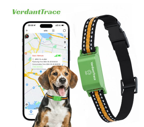 Pet Global Positioning Collar