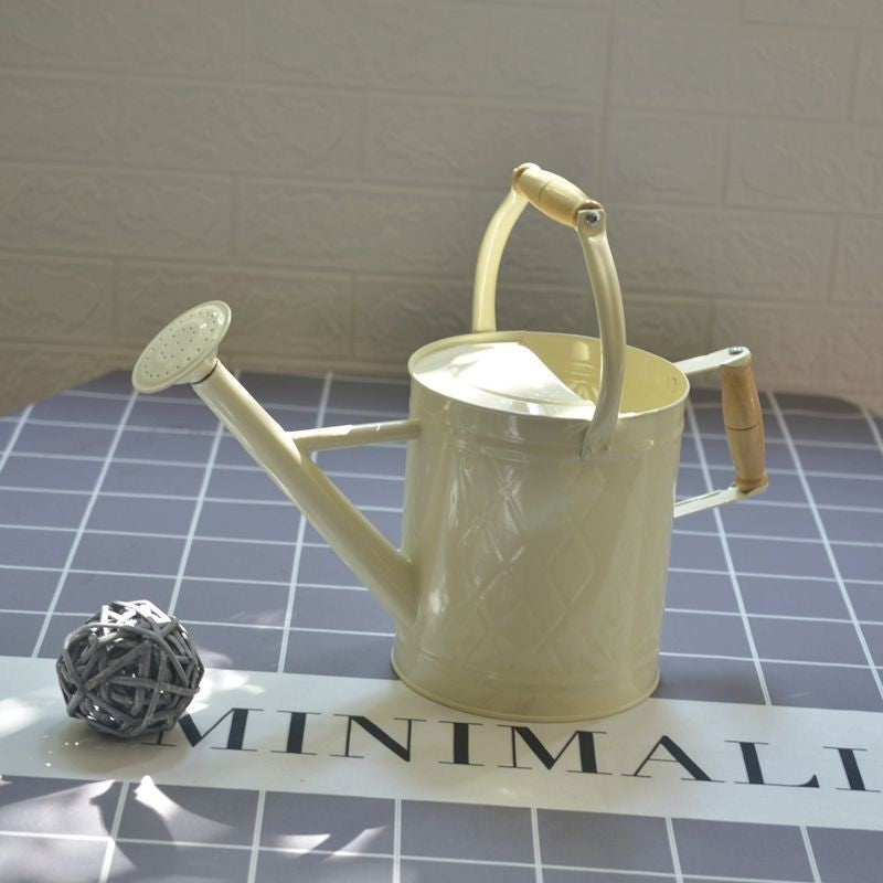Large Watering Can For Home Gardening Vegetable Growing And Flower Care European And American Style