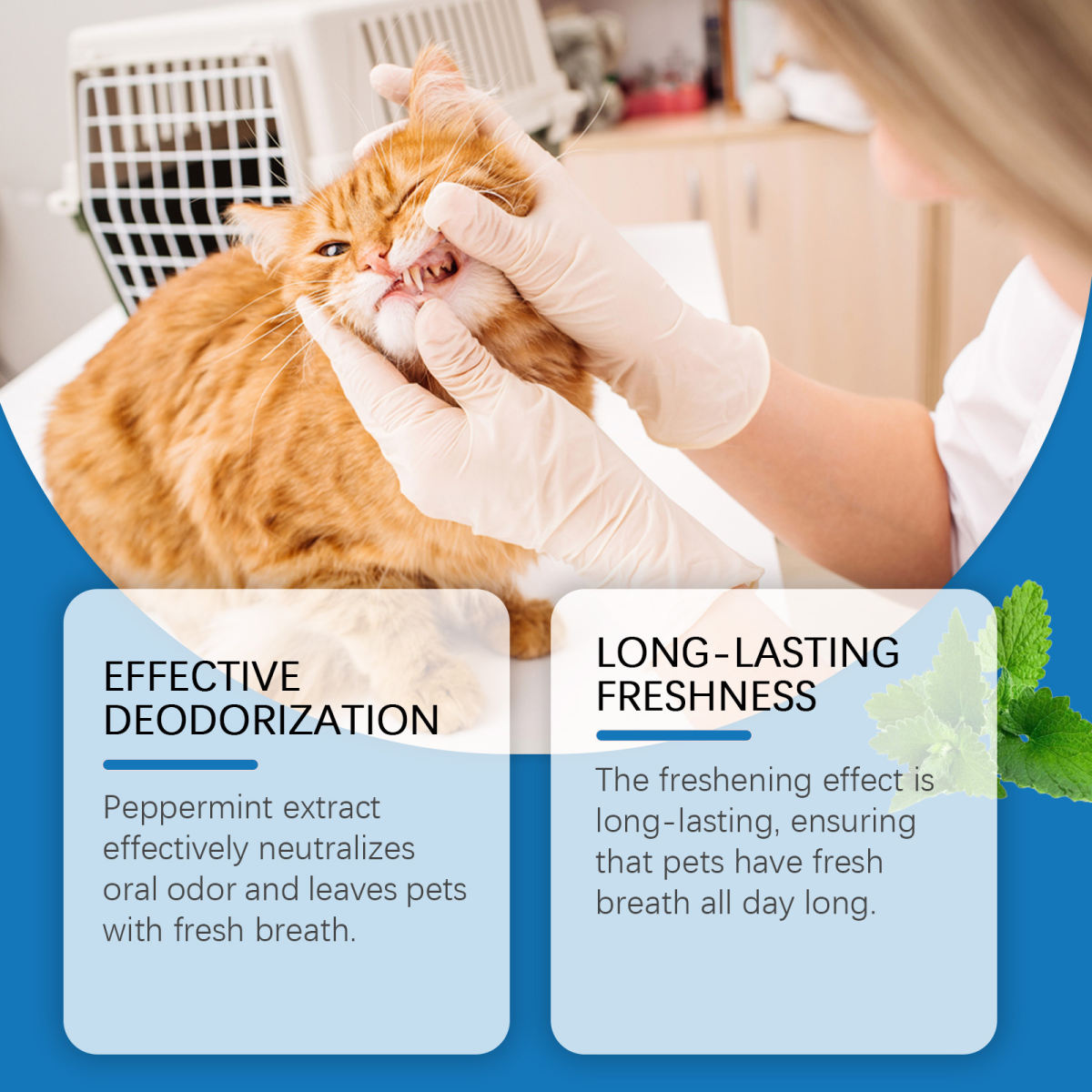 Tooth Tartar Odor Care Lasting Care