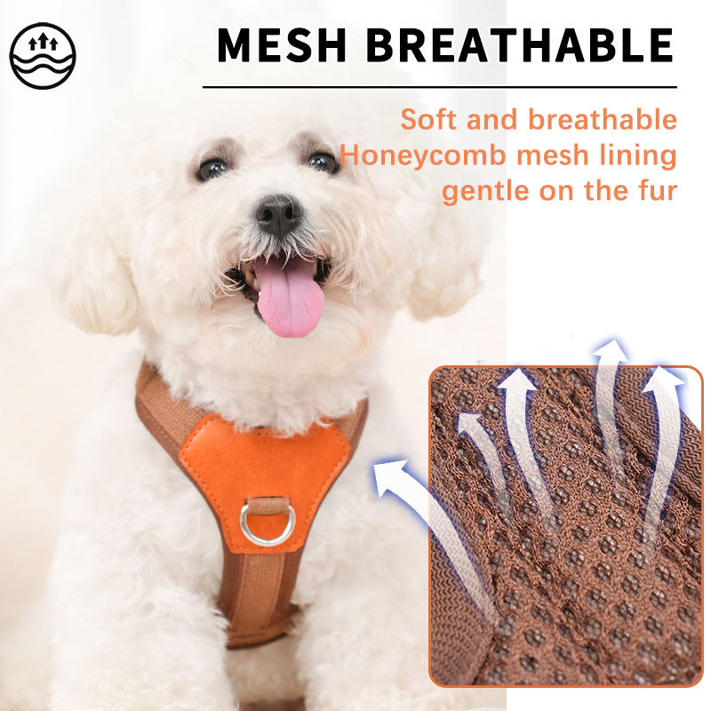 Retro Dog Hand Holding Rope Pet Harness