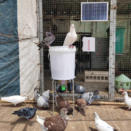 Automatic Chicken Feeding Device Duck Feeding Machine Timer Solar Energy