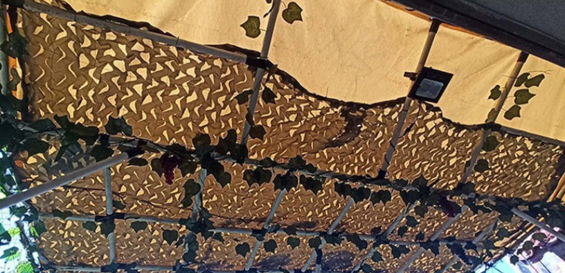 New Summer Solid-Colored Sunshade Net